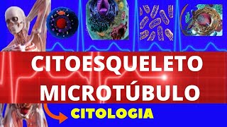 CITOESQUELETO  MICROTÚBULOS  ESTRUTURA FORMAÇÃO E FUNÇÃO  ENSINO SUPERIOR  CITOLOGIA [upl. by Aveneg]