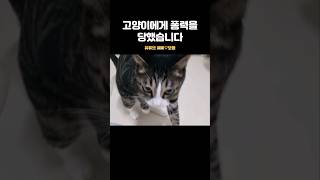 큰언니 퐁력 사건의 전말 반전있음 [upl. by Ytsim]