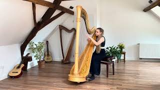 J S Bach  Toccata and Fugue in D minor BWV 565 Alisa Sadikova  Harp [upl. by Delmor]