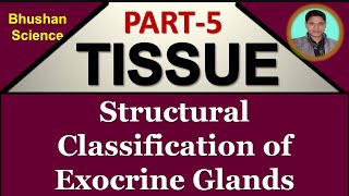 Part 5  Tissue Level of Organization  Structural Classification  Exocrine Glands Hindi BPharm [upl. by Odnesor381]