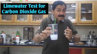 Limewater Test for Carbon Dioxide 🔥  Testing for CO2 Carbon dioxide with Limewater in 2023 Asif [upl. by Annaert599]