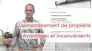 Avantages et inconvénients du démembrement de propriété [upl. by Edris]