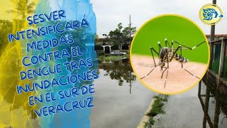 Sesver intensificará medidas contra el dengue tras inundaciones en el sur de Veracruz [upl. by Thaddaus990]