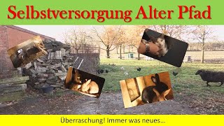 Überraschung Immer was neues [upl. by Boelter]