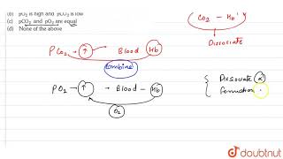 CO2 dissocated from carbamino haemoglobin when [upl. by Enaasiali454]