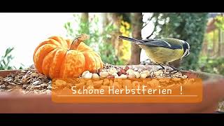 Schöne Herbstferien [upl. by Cissie]