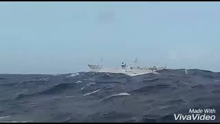 LONG LINE TUNA FISHING VESSEL TAIWAN [upl. by Far]