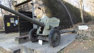 85 mm divisional gun D 44 [upl. by Tocs]