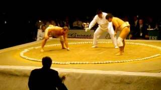 world sumo championship 2008 stiliyan georgievBULamp shimako takashiJAP [upl. by Ynehteb929]