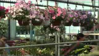 Centre De Jardin Brossard Inc  Brossard [upl. by Ladonna]