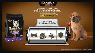 Ganador® Premium – Sistema de Beneficios Life Advanced [upl. by Myer]