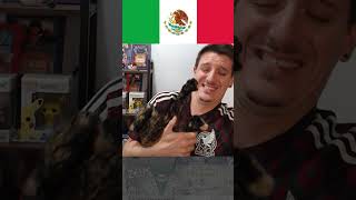 La GATITA DEL SOMBRERO MEXICANO​😹​ ​dlh shorts [upl. by Inaliak122]