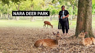 Nara Deer Park Day Trip From Kyoto  Todaiji Temple [upl. by Aisan]