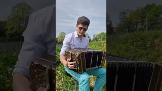 Nabucco youtubeshorts music bandoneon bandovalo opera [upl. by Benjamen775]