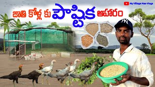 డైలీ జాతి కోళ్ళకు నేను ఇచ్చే పోషక విలువల పౌష్టిక ఆహారం [upl. by Repard]