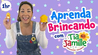 Aprenda Brincando com Tia Jamille  Educação Infantil  Vídeo Educativo  Música Infantil  Aulinha [upl. by Hansel420]