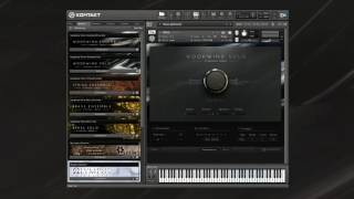 SYMPHONY SERIES  WOODWIND SOLO Playthrough  Native Instruments [upl. by Selemas]