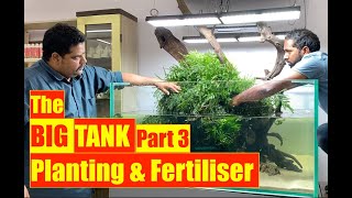 The Big Tank  Making a 1000 litre Aquarium  Mayur dev Tips  4x4x2ft Nature Aquarium PLANTING [upl. by Eckart]