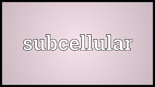 Subcellular Meaning [upl. by Einaoj]