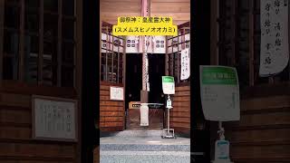 ✨おめでとうございます✨あなたは天地創造の神様に選ばれました！※今すぐ再生して御縁を結んでください🌈【岡神社】本編公開中♪ 運気上昇 スピリチュアル パワースポット 遠隔参拝 [upl. by Yantruoc444]