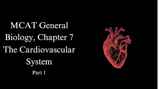 20242025 MCAT General Biology Chapter 7 The Cardiovascular System Part 1 [upl. by Erehc109]