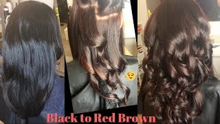 Black to Red Brown Hair Color ft Schwarzkopf Igora Royal [upl. by Clementi]