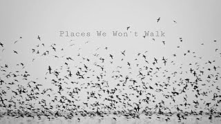 Places We Wont Walk  Bruno Major Lyrics [upl. by Kamat]