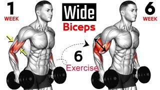 Best 6 Bicep Workout at Gym Guide For Fast Growth Naturally [upl. by Blatt943]