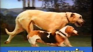 Bounce Chunks Dog Food advert [upl. by Sinaj]