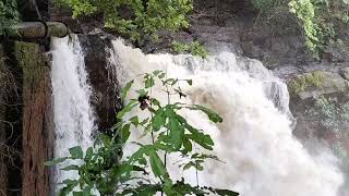 Harvalem Waterfalls  North Goa [upl. by Egwin]