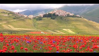 IN VOLO SU CASTELUCCIO NORCIA 2014  the flowering [upl. by Pitzer699]