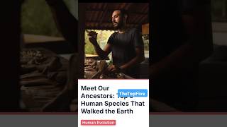 Top 5 First Human Ancestors to Walk the Earth facts top5 human ancestors [upl. by Jaeger]