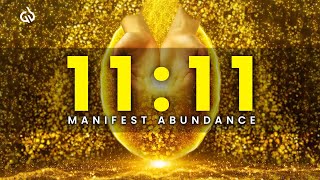 1111 Portal Abundance Manifestation Tap into Abundance amp Money Frequency ✨💸 [upl. by Naujad542]