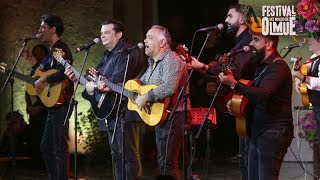 Gipsy Kings y su contagiosa fiesta en El Patagual  Festival del huaso de Olmué 2018 [upl. by Novia]