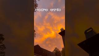 Was it a painting  Beautiful♥️Unfiltered and unedited shorts iphone youtubeshorts trending [upl. by Cornelle]