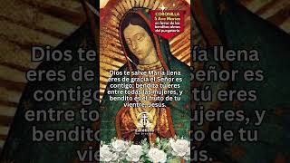 Virgencita de Guadalupe intercede por las Benditas Almas del Purgatorio [upl. by Dodie]