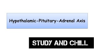 Hypothalamus pituitary Adrenal AxisHPA axis HumanphysiologyEndocrinesystemAnimation [upl. by Pembrook316]