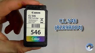 How to refill Ink Cartridges  PG445  CL446  Canon Pixma Ts3140 and other models [upl. by Sandor]