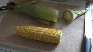 NoShuck Microwave Corn on the Cob in 4 Minutes [upl. by Iow]