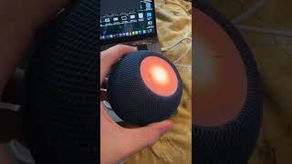 How to Restore a HomePod mini [upl. by Ecissej]