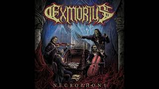 EXMORTUS  Storm Of Strings [upl. by Nniw]