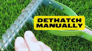 How To Manually Dethatch A Lawn [upl. by Krantz]