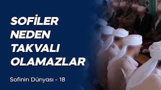 Sofiler Neden Takvalı Olamazlar Sofinin Dünyası 18 [upl. by Odlopoel180]