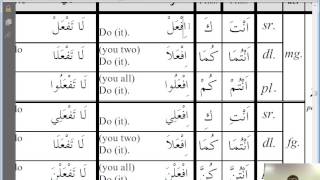 Grammar   05  Arabic Grammar  Amr And Nahi  OrderRequestAdviseandProhibition [upl. by Derzon]