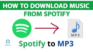 How to Download Music in Spotify 2024 New Method [upl. by Flavian]