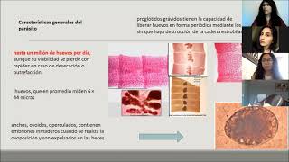 Difilobotriasis Diphyllobothrium latum [upl. by Retsehc]