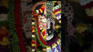 Tirumala vaasa music festival like song musicgenre lordgovinda [upl. by Aihsyt]