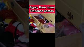 Gypsy Rose Blanchard house evidence [upl. by Dannica]