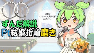 【ずんだもん解説】プラチナ製の結婚指輪を磨いてみた【マリッジリング】 [upl. by Nakasuji755]