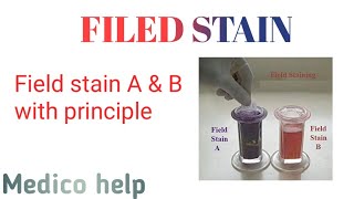 Field stain AampB procedure  gram staining [upl. by Nesta]